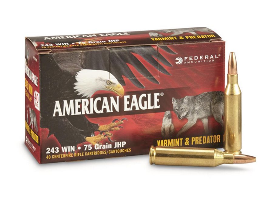 Federal Premium American Eagle Varmint & Predator .243 Winchester