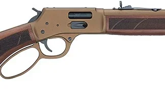 Henry H16 Golden Boy Deadeye Revolver - Henry Repeating Arms - Voss Arms